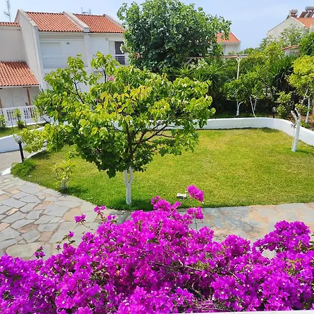 3 Bedroom House, 250m From Trikorfo Casa vacanze *